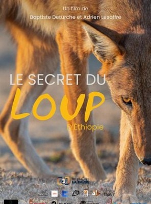 Le Secret du Loup d’Éthiopie
