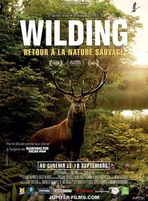 Wilding, Retour à la Nature Sauvage